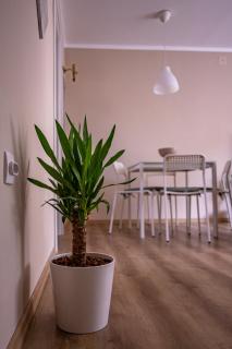 Charna apartment Beograd Železnik - 3