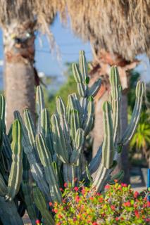 Antonina Hotel - Agia Anna Naxos - 9