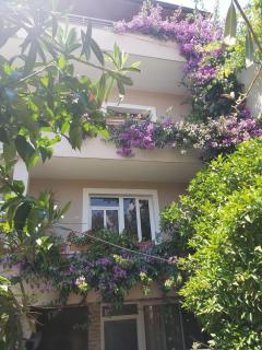 Flowers Guesthouse - Tirana - 0
