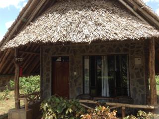 AA Lodge Amboseli - Amboseli - 9