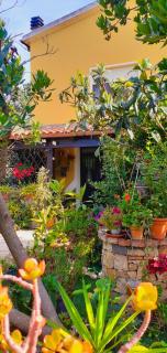 B&B Giomar Sardegna Nord Ovest - Campanedda - 4