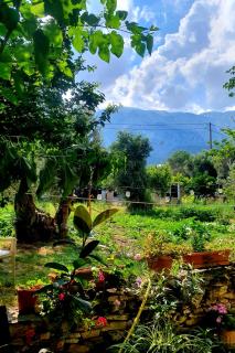 Lemon Tree Apartments Samos - Votsalákia - 9