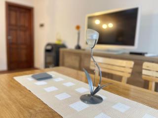 Apartman Zlatić - Mataruška Banja - 3