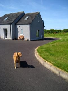 luxury - Ballyvoy - 8