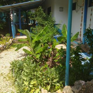 Furaha B&B Kendwa - 6