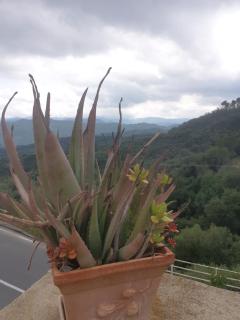 Bed & Breakfast Ca' di Vissai - Arnasco - 5