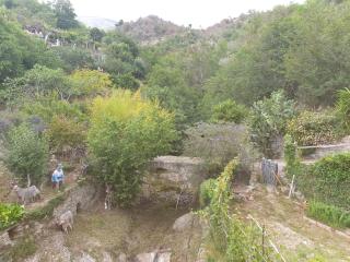 Bed & Breakfast Ca' di Vissai - Arnasco - 7