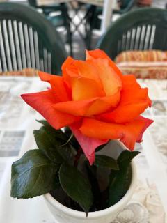 Ferienwohnung Goldener Drache - 9