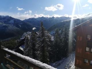 Chalet 4 pers. Piscine et literie toute neuve. - Puy-Saint-Vincent - 1