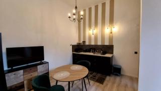 Gecko Studio - 0