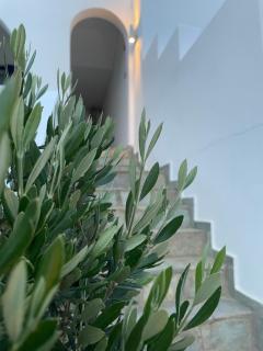 Villa Maniati Studios - Agios Petros - 1
