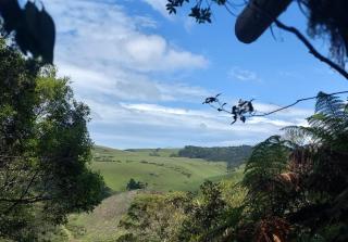 Vale das Águas - Cambará - 1