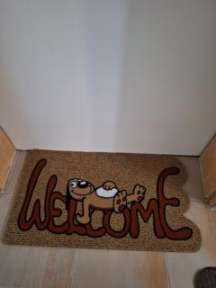 STUDIO APARTMAN TONKO - s balkonom - 6