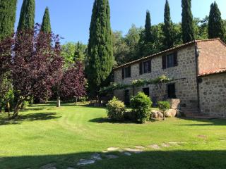 Holiday in an antique Tuscan Farm apt IL LAGO - Podere Caminino - 8