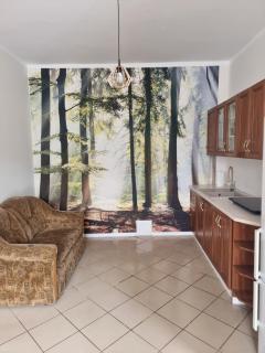 Apartament Kosynka - 3