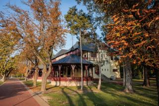 Vila Palić Soba 1 lux - Palić - 1
