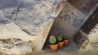 Alle Porte del Castello Maniace - 2