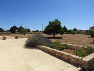 Casa Antonia ET- 6805 - Sant Francesc Xavier - 7