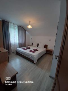 Casa Trache - Călimăneşti - 8