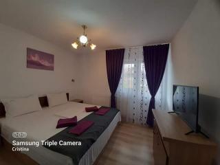Casa Trache - Călimăneşti - 2