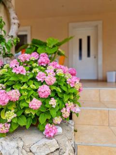 Apartments Monopoly - 9