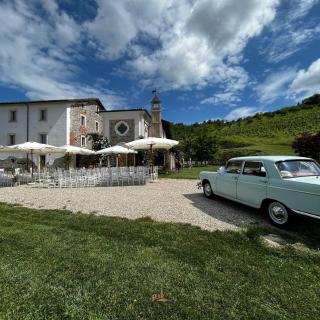 Tenuta Armonia - Clavesana - 7