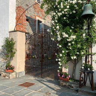 Tenuta Armonia - Clavesana - 9