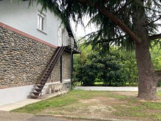 Cèdrus Libani - Martres-Tolosane - 9