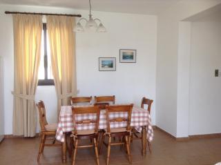 Aura Holiday Villas - Paphos - 5