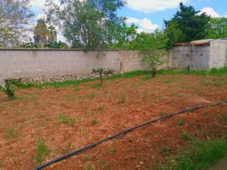 Villa Summer - Il Monte - 1