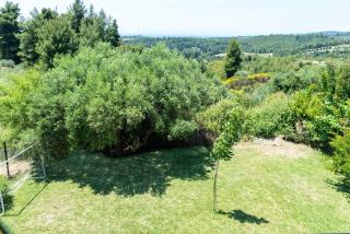 Serenity Cove, The Fox s Lair Hospitality - Agia Paraskevi - 8