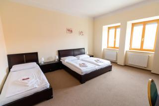 Hotel Prácheň - Horažďovice - 7