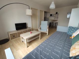 Charmant appartement - 5 mn Zoo de Beauval 4p - Saint-Aignan - 0
