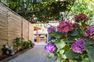 Villa La Natura (Private Room x3 With Parking) - Sorrento - 2