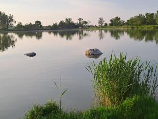 Mirabelka Rakvice - Rakvice - 3