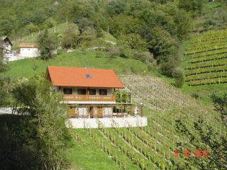 Holiday home Baron - Radeče - 8