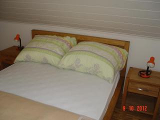 Holiday home Baron - Radeče - 1