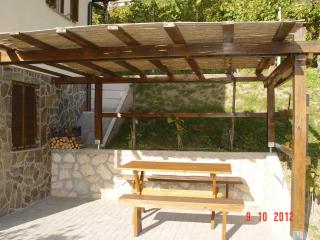Holiday home Baron - Radeče - 6