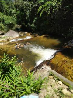 Casa do Cedro - Sítio Cascatinha - 5