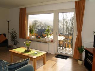 Mountainview villa - Wiemeringhausen - 4