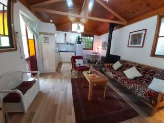 Quirky Cottage in Centre of Maleny, Walk Everywhere - Maleny - 1