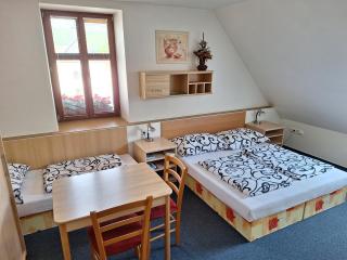 Penzion U Vorlíčků - Jablonné nad Orlicí - 7