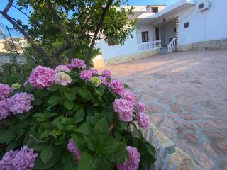 Vila Tani - Ksamil - 7