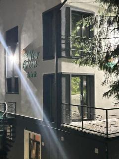 New Green - Slănic-Moldova - 8