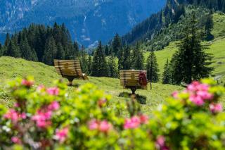 Haus Anita - Wald am Arlberg - 2