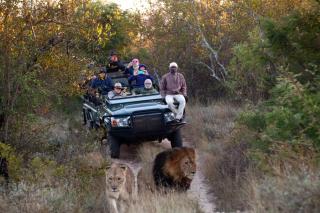 Karongwe Portfolio - Becks Safari Lodge - Hoedspruit - 0