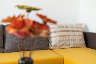 Apartments Melody - 4