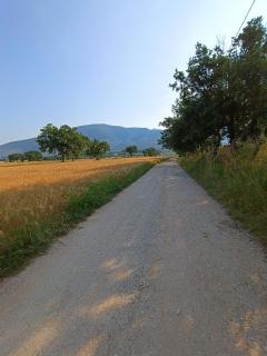 Casa Cardarella - Beroide - 9