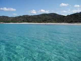 T3 Luccia Proche Saint Florent - Saint-Florent - 1