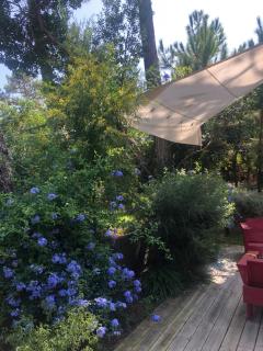 Maison bois 10 pers CapFerret Plage des Américains - Lège-Cap-Ferret - 6